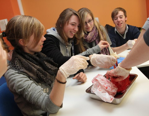 Wetenschapsweek 2010 aan UGent: wetenschap in de kijker-18604