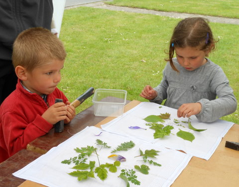 De UGent Plantentuin neemt deel aan de eerste Fascination of Plants Day-20813