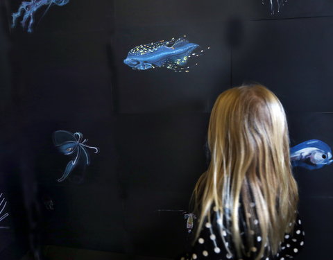 Opening tentoonstelling 'Marine Art, Zeewetenschap zet zeil naar de kunstenwereld'