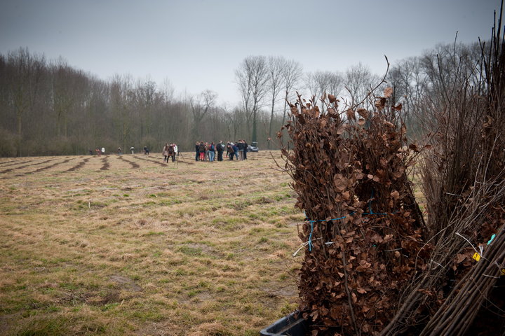 Aanplanten van laatste bomen van het eerste UGent-bos, een initiatief van het UGent1010-team (studentenorganisatie die de ecolog