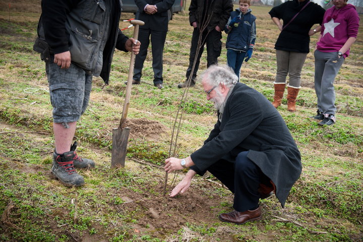 Aanplanten van laatste bomen van het eerste UGent-bos, een initiatief van het UGent1010-team (studentenorganisatie die de ecolog