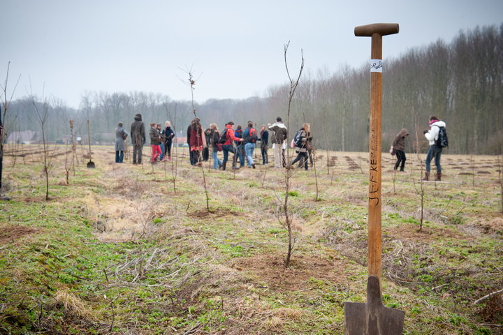 Aanplanten van laatste bomen van het eerste UGent-bos, een initiatief van het UGent1010-team (studentenorganisatie die de ecolog