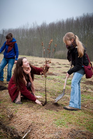 Aanplanten van laatste bomen van het eerste UGent-bos, een initiatief van het UGent1010-team (studentenorganisatie die de ecolog