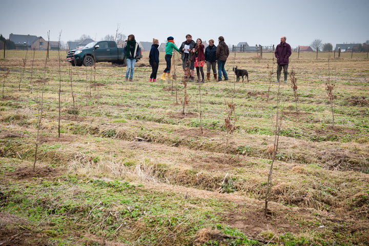 Aanplanten van laatste bomen van het eerste UGent-bos, een initiatief van het UGent1010-team (studentenorganisatie die de ecolog