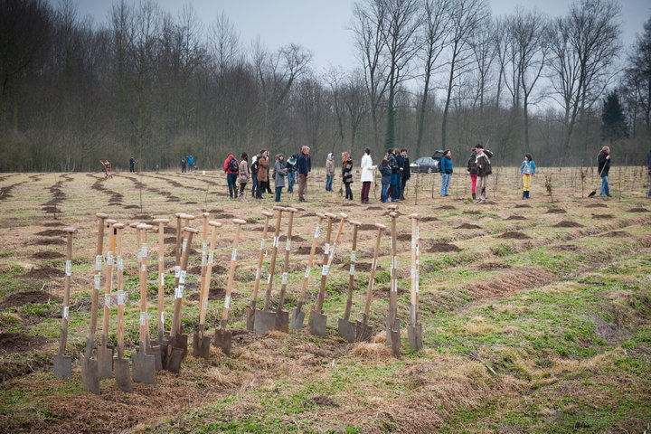 Aanplanten van laatste bomen van het eerste UGent-bos, een initiatief van het UGent1010-team (studentenorganisatie die de ecolog