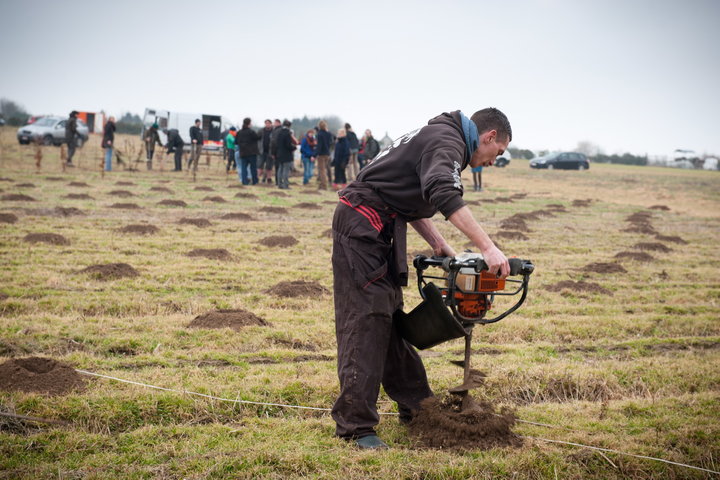 Aanplanten van laatste bomen van het eerste UGent-bos, een initiatief van het UGent1010-team (studentenorganisatie die de ecolog