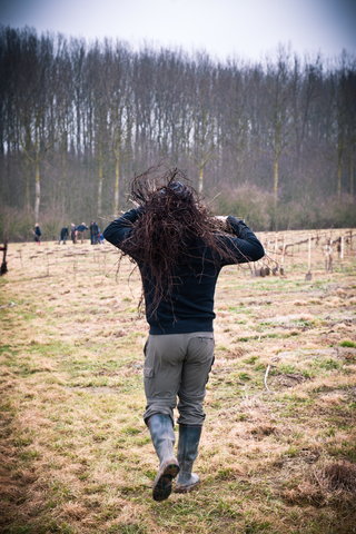 Aanplanten van laatste bomen van het eerste UGent-bos, een initiatief van het UGent1010-team (studentenorganisatie die de ecolog