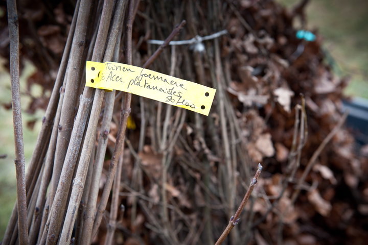 Aanplanten van laatste bomen van het eerste UGent-bos, een initiatief van het UGent1010-team (studentenorganisatie die de ecolog